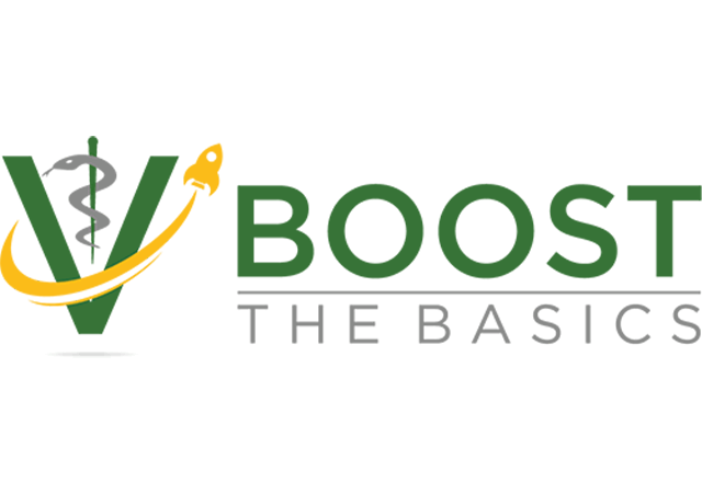 Logo Boost-the-Basics